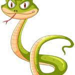 Tuổi rắn - đặc điểm tuổi rắn