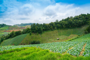 Các địa điểm du lịch