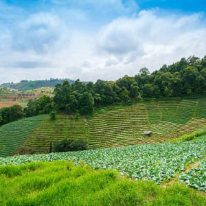 Các địa điểm du lịch
